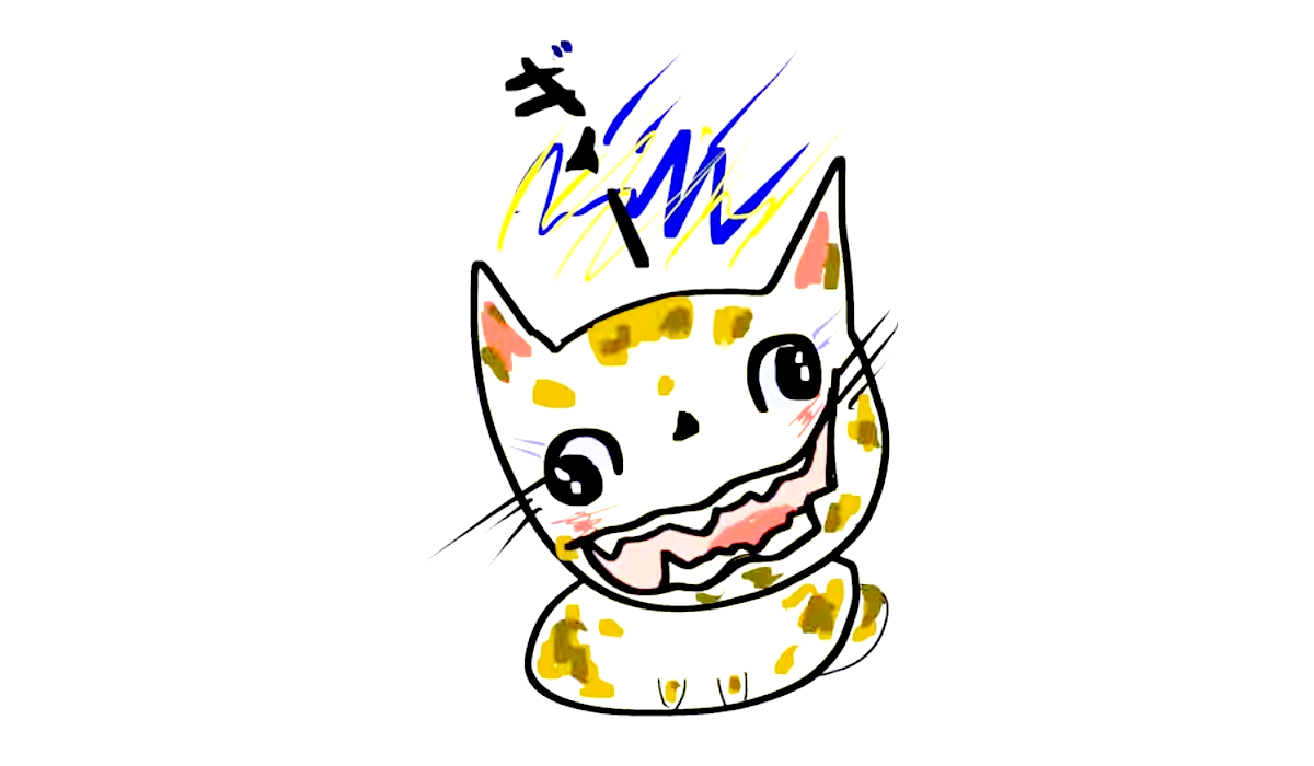 SOWZOW